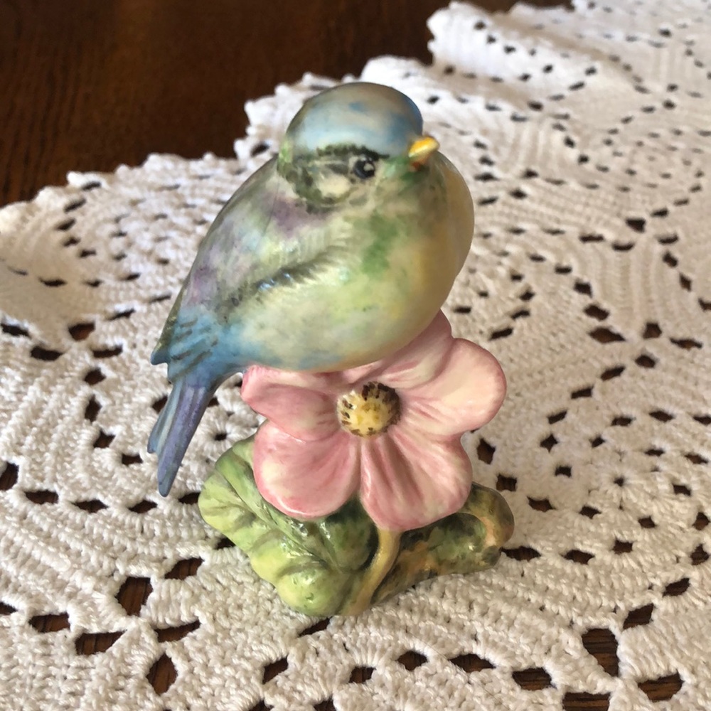 Blue bird